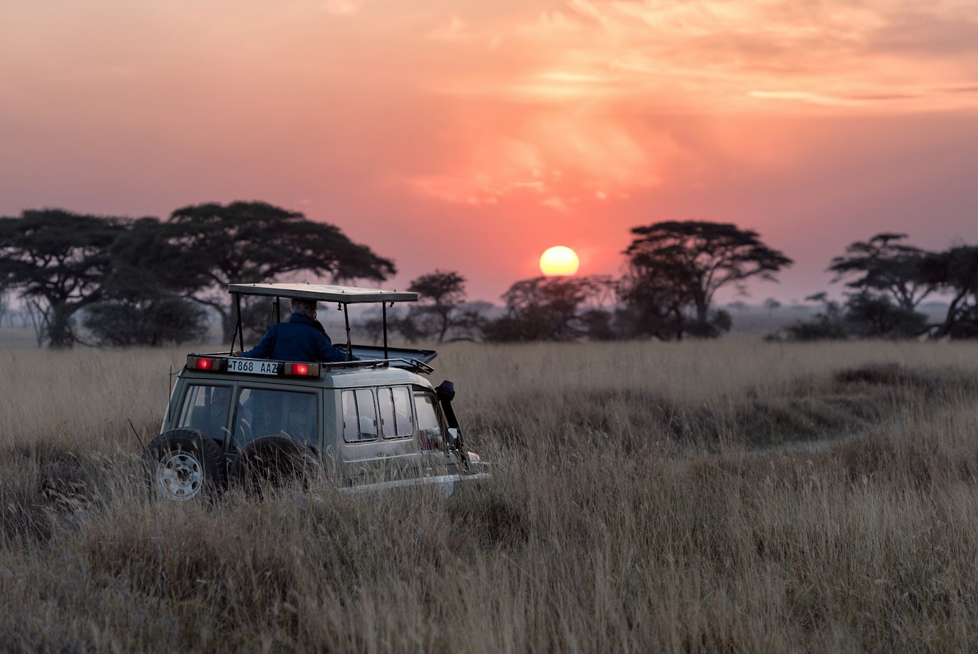 Open safari vehicle in grassland at sunset